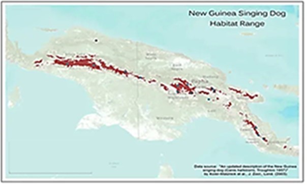 Figure 1. Map of the island of New Guinea showing the hypothetical range of NGD in the highland mountain ranges. Image credit to Janice Koler-Matznik (USA). 