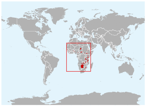 African Wild Dog Population Chart